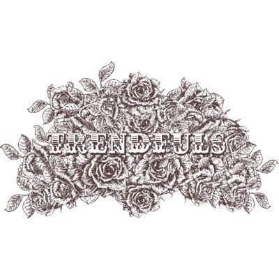 designious t shirt design 286 Thumbnail