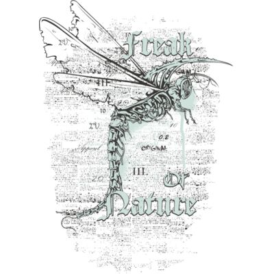 designious t shirt design 361 Thumbnail