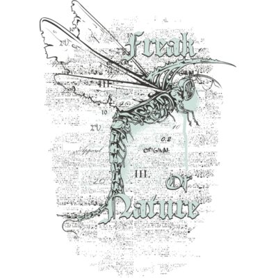 designious t shirt design 361 Thumbnail